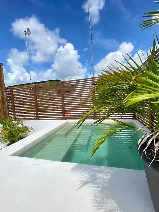 Διαμέρισμα Spacious 3Bdr Penthouse Aldeazama Pvt Pool Terrace Xaman Condo Τουλούμ